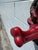 Vintage Japanese Red Lacquer Tengu Wall Mask For Sale In West Palm - Image 6 of 7