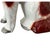 Ceramic Vintage Staffordshire Ware English Spaniel Dogs 8" Tall - A Pair For Sale - Image 7 of 14