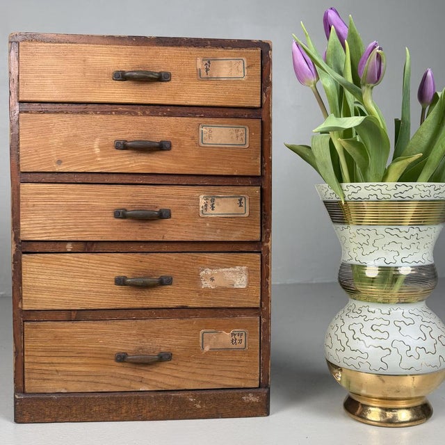 Mid-Century Modern Japanese Archive Cabinet with 5 Drawers, 1930s For Sale - Image 3 of 15