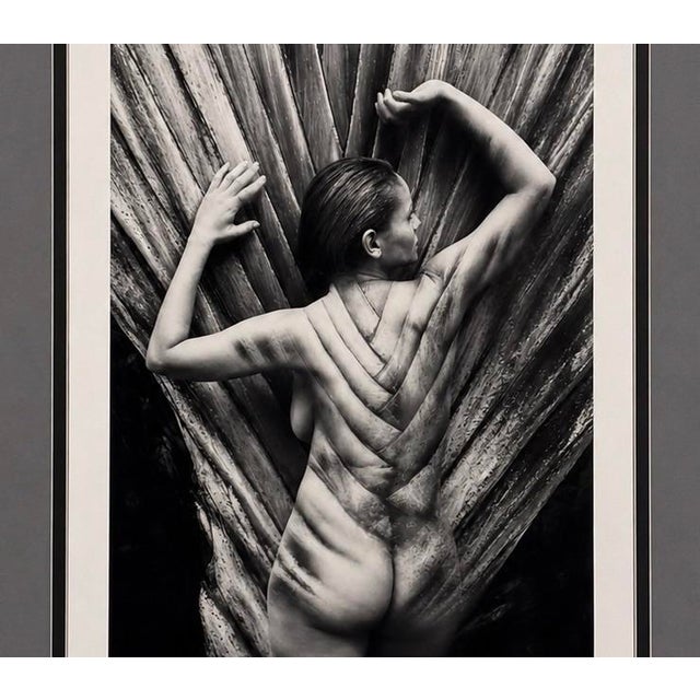 Contemporary British Contemporary Photography Boyarde Messenger (London, Uk) Signed & Numbered LTD Edition Archival Print Metamorphosis 2009 Edition Iii/v (3 of 5) For Sale - Image 3 of 3