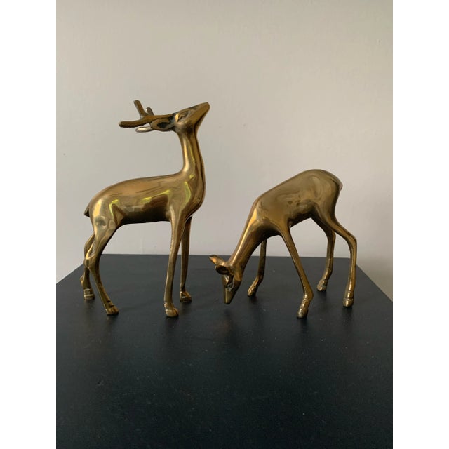 Vintage MId-Century solid brass pair of deer. It is lovingly made and incredibly unique piece to enhance any home or...