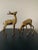 Vintage MId-Century solid brass pair of deer. It is lovingly made and incredibly unique piece to enhance any home or...
