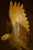 Hand-Carved Single-Piece Figure of an Eagle on Wood Plinth, Circa 1950s For Sale - Image 12 of 14