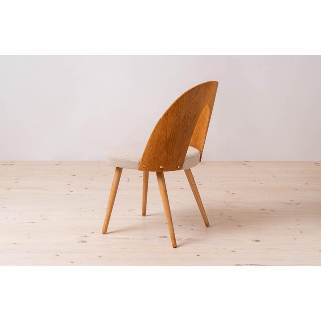 Mid-Century Dining Chairs attributed to A. Suman, 1960s, Set of 16 For Sale - Image 12 of 18