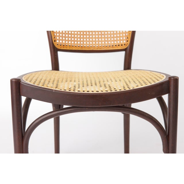 1970s Vintage Bentwood Dining Chairs with Viennese Cane from Thonet, 1960s, Set of 2 For Sale - Image 5 of 12