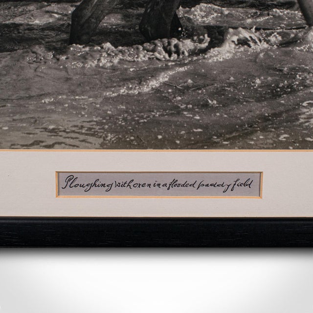 Vintage Photograph, Rural Indonesia, Oriental, Monochrome, Java, Mid Century For Sale - Image 6 of 8