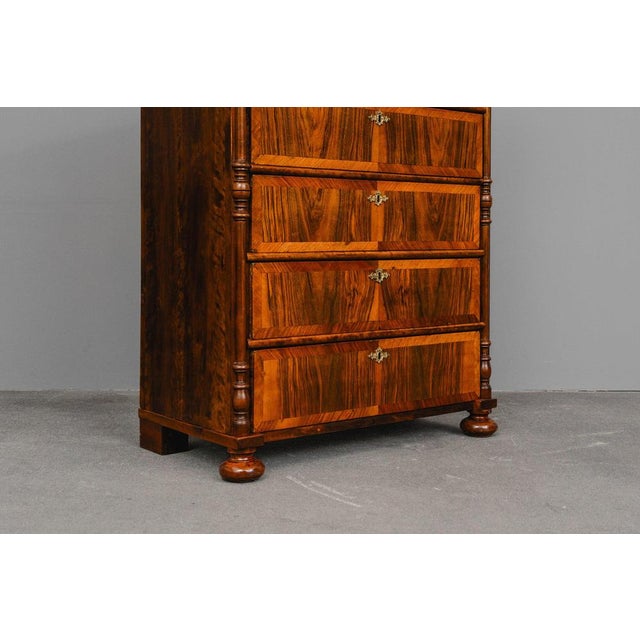 Metal Gründerzeit Chest of Drawers in Walnut, 1700s For Sale - Image 7 of 18