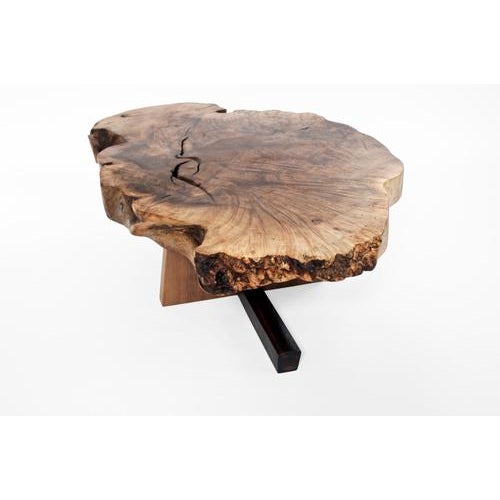 Wood T2611 Coffee Table in Caucasian and European Walnut by Jörg Pietschmann For Sale - Image 7 of 16