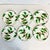 Restoration Hardware 2001 Americana Hollywood Regency Restoration Hardware Holly Berry Salad Plates - Set of 6, Christmas For Sale - Image 4 of 15