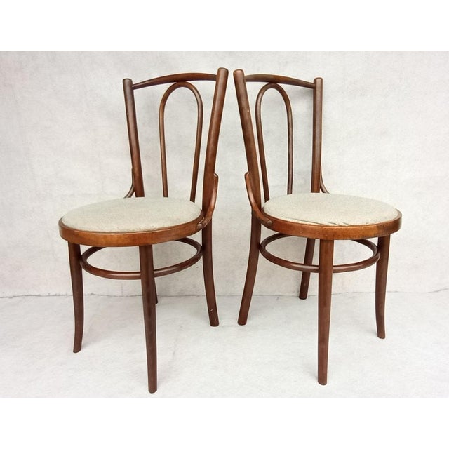Chairs in Beech Bentwood from Tatra, 1960s, Set of 6 For Sale - Image 11 of 15