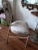 Metal Mid 20th Century Iron Palm Beach RegencyRegency Upholstered Seat Chair For Sale - Image 7 of 10