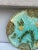 French Majolica Parakeets Plate Salins, Circa 1890 For Sale - Image 3 of 5