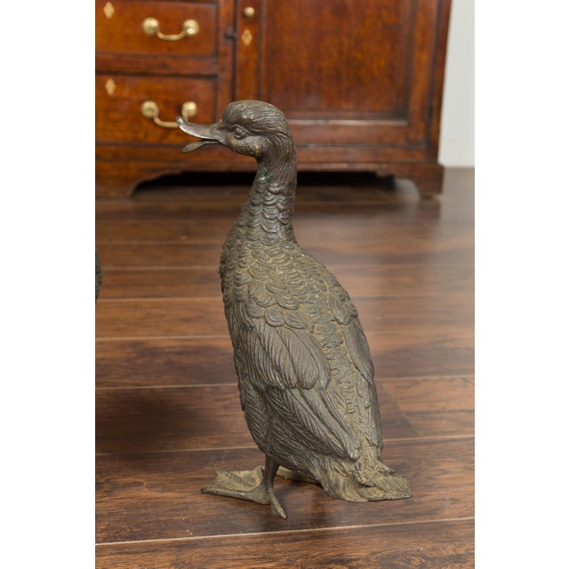 Vintage Bronze Ducks Standing on Their Palmed Feet, circa 1940 - a Pair For Sale - Image 4 of 12
