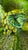 1960s Inarco E2603 Green Majolica-Style Fruit and Leaf Divided Serving Platter For Sale - Image 10 of 16