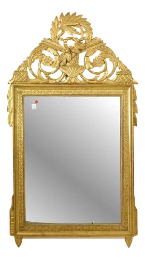 Antique Rectangular Gold Leaf Gilt Mirror Wall Mirror with Birds and Flowers, 18th Century