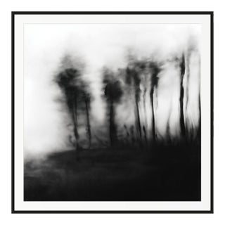20" X 20" 'Blurred Landscape' #5 Framed Original Black and White Photography For Sale