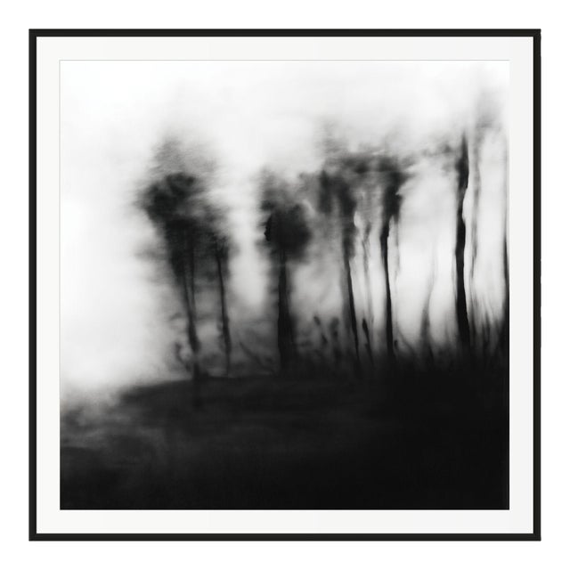 20" X 20" 'Blurred Landscape' #5 Framed Original Black and White Photography For Sale