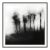 20" X 20" 'Blurred Landscape' #5 Framed Original Black and White Photography For Sale