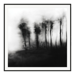 20" X 20" 'Blurred Landscape' #5 Framed Original Black and White Photography