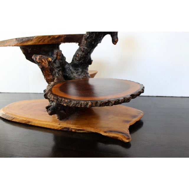 Cabin Farmhouse Tiered Tree Root Trunk Wood Coffee Table Chairish