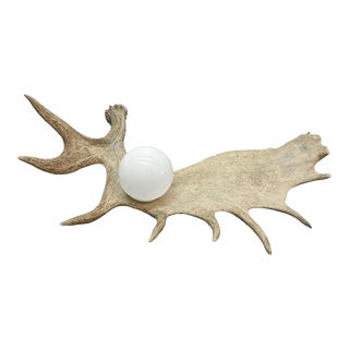 Moose Antler Lamp For Sale