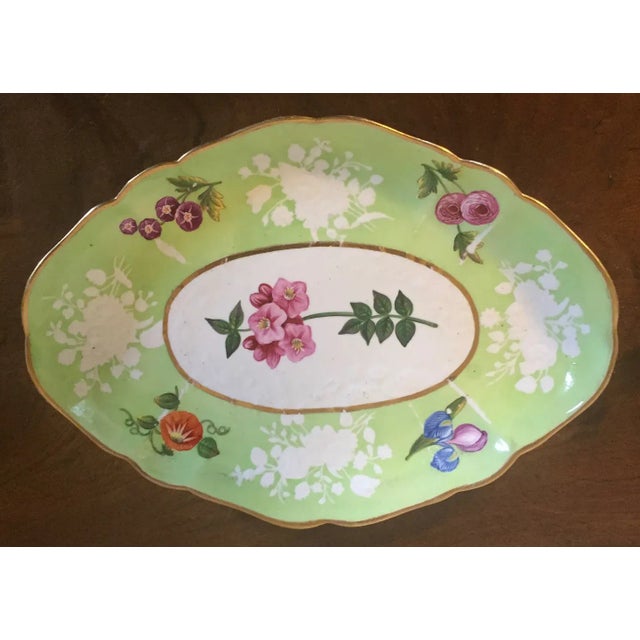 Antique early 19th c. Coalport porcelain botanical oval dessert dish. Decorated with hand painted flower specimens on a...