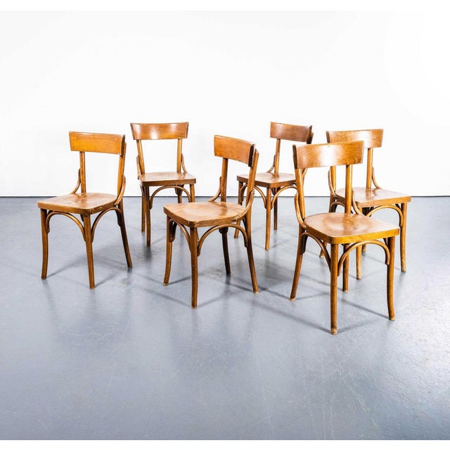 Bentwood Dining Chair from Baumann, 1950s For Sale - Image 3 of 12