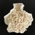 White Vintage Natural Merulina White Coral Specimen For Sale - Image 8 of 13