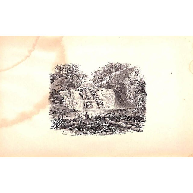 "My Life as an Angler" 1880 Henderson, William For Sale In New York - Image 6 of 9