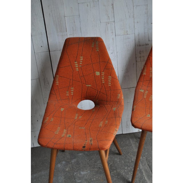 Set of Hungarian Erika Chairs by Judit Burián for SZKIV, 1959 For Sale - Image 6 of 10