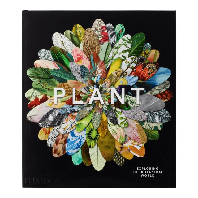 Plant Exploring the Botanical World For Sale