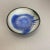 1960s Ceramic Studio Pottery Shell Element Bowl from Gerhard Liebenthron, Germany, 1962 For Sale - Image 5 of 17