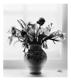 Dead Flowers, Black and White Analogue Floral Photography, Limited Edition of 20 2023