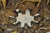 Plastic Vintage Finesse Originals Mid Century Modern Fiberglass Zodiac Sign Wall Mirror For Sale - Image 7 of 11