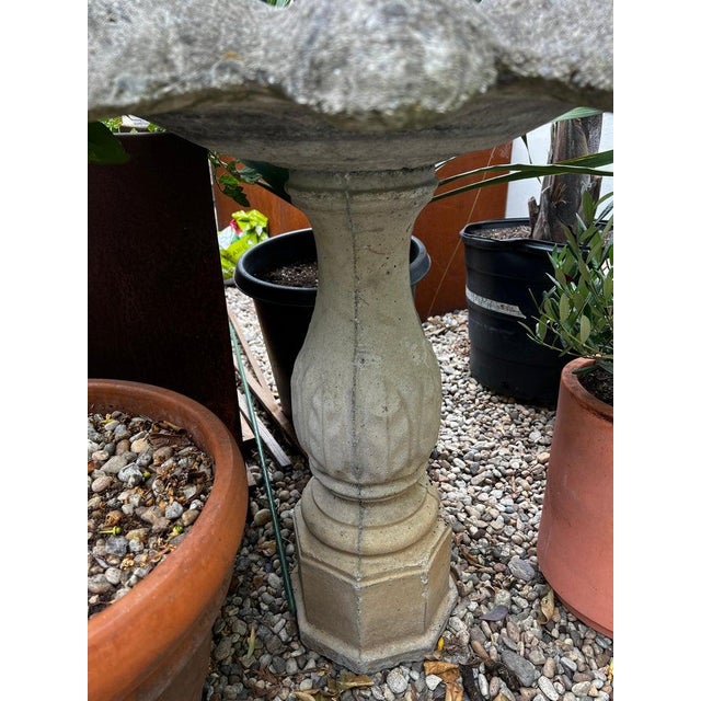 A charming vintage molded concrete birdbath featuring a scalloped, flower-petal shaped basin supported by a classical,...