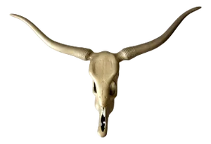 Vintage Brass Longhorn Wall Mount