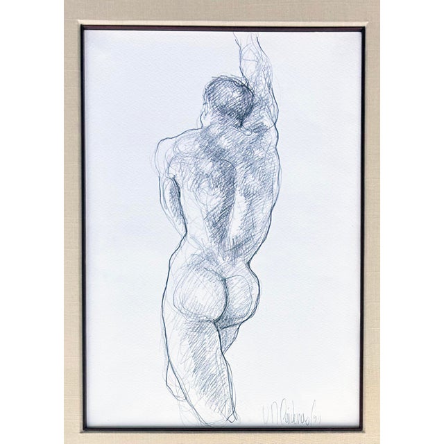 Male Nude Study Pencil Drawing by Colombian Artist Cardenas, 1 of 2 Offered for sale is a male nude pencil drawing signed...