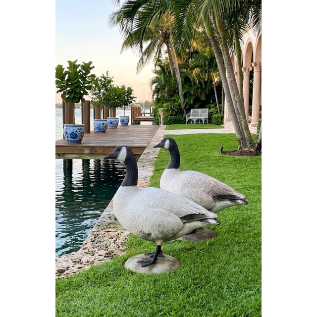 Alabaster Pair of Vintage-Style Resin Canada Goose Garden Statuary For Sale - Image 8 of 12