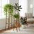 1970s 1970's McGuire Bamboo and Rawhide Leather-Wrapped Planter Stands - Set of 3 For Sale - Image 5 of 6