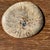 Small Trinket Tray or Dish in Beige Petrified Wood with Small Black Heart-Shaped Circles D21-25 -3314 For Sale - Image 16 of 18