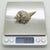 Vintage Italian Genuine Silver 800 Sea Shell Shaped Trinket Box from Florence, 1970s For Sale - Image 11 of 13