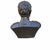 Grand Tour Vintage Italian Grand Tour Bronze Bust of Julius Augustus Caesar For Sale - Image 3 of 10