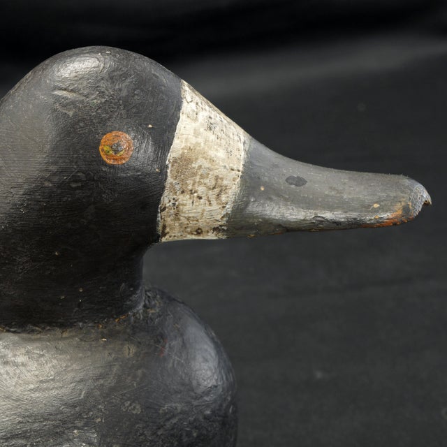 Antique Broadbill Hen Duck Decoy Circa 1900 Chairish