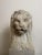 Florentine Lions in White Carrara Marble, Late 19th Century, Set of 2 For Sale - Image 10 of 13