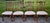 Vtg. Set of Four Heavily Carved Chippendale Style Cherry Side Dining Chairs For Sale - Image 16 of 16
