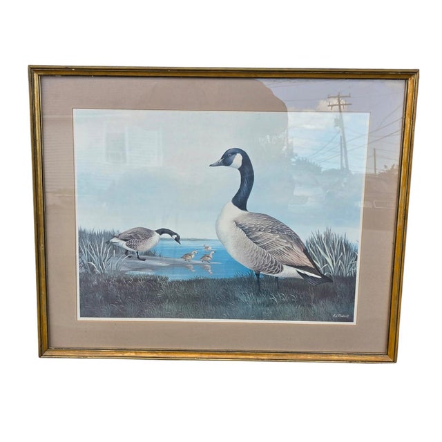 Wood 19th Century Beautiful Decorative Painting of Goose Family/ Wood Frame and Glass Cover. For Sale - Image 7 of 14