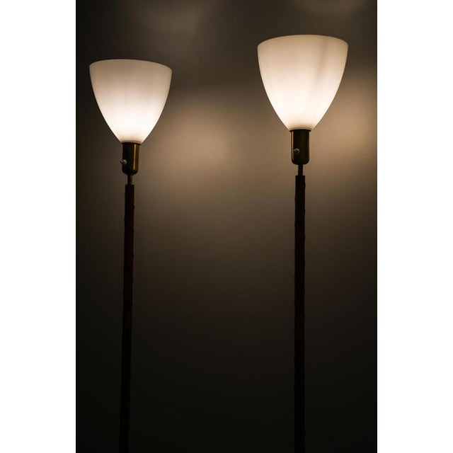 ASEA Floor Lamps in Brass, Glass, and Leather from Asea, 1950s, Set of 2 For Sale - Image 4 of 9