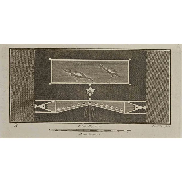 Still Life Fresco with Birds from "Antiquities of Herculaneum" is an etching on paper realized by Nicola Fiorillo in the...