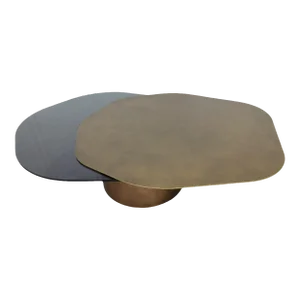 Modern Irregular Shape Kaylee Coffee Table