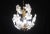Vintage Murano glass chandelier full of white flowers in murano glass. The chandelier has 4 light points with E14 socket,...